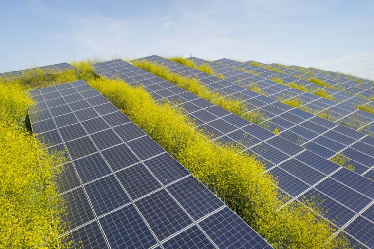 Bosnia and Herzegovina Installs 107 MW of Solar Power Last Year