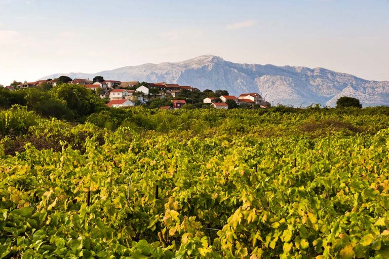 Croatia Offers the Most Affordable Arable Land Among EU Countries