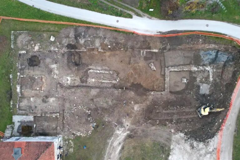 Ancient Millet Discovery Sheds Light on Slovenia’s Prehistoric Agriculture
