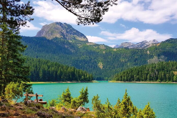 Black Lake surrounded by rocks covered in greenery under the sunlight in Montenegro