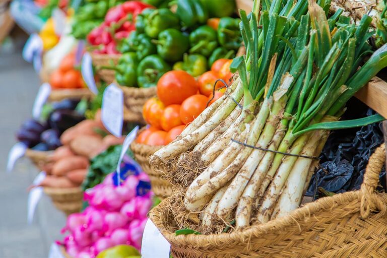 Albania’s Agri-Import Surge Amidst Tourism Boom