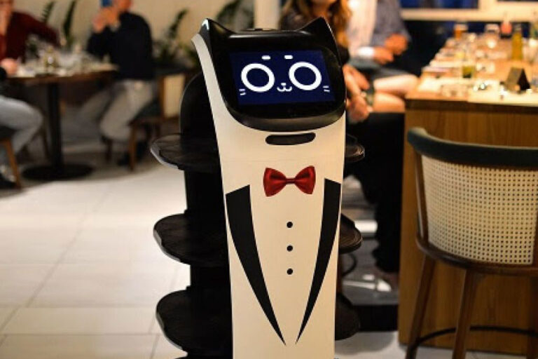Derventa’s Robotic Waiters Serve Up a Tech-Fueled Dining Experience