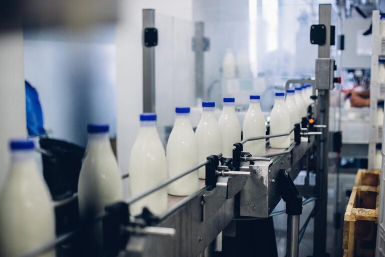 BiH Dairy Exports Experience Creamy Surge