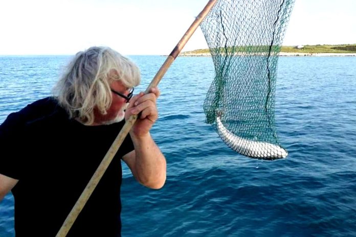 Worlds-Most-Poisonous-Fish