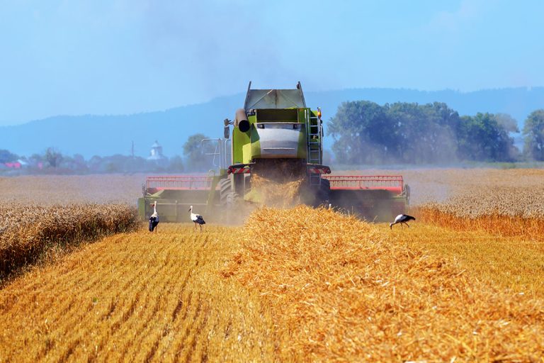 Croatian Mplus Secures Majority Stake in Slovenia’s Leading Agri-Food Company