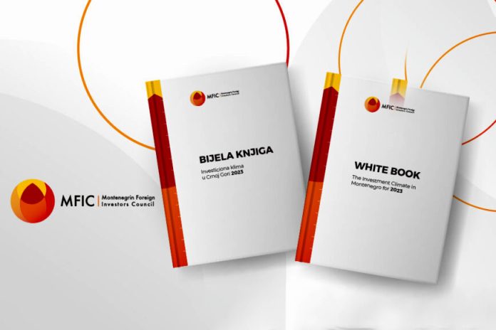 Bijela-knjiga MFIC 2023