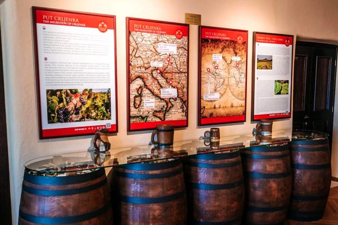 First-Wine-Museum-Opens-in-Dubrovnik-2