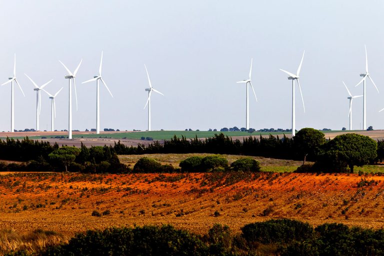 Wind Power Surpasses Gas to Become EU’s Second Largest Energy Source in 2024