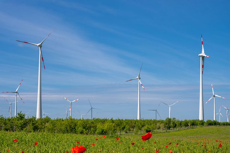 North Macedonia Introduces Guarantees of Origin for Renewable Electricity