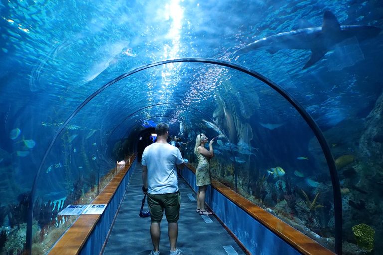 Belgrade Aquarium Design Unveiled by Mitarh Studio
