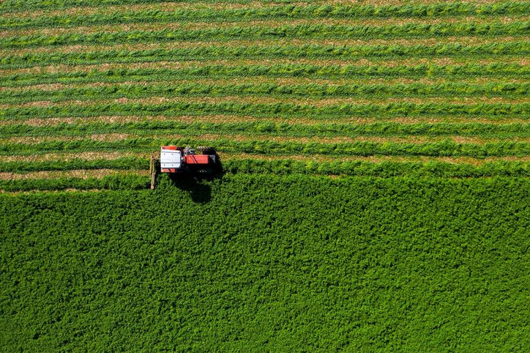 Montenegro Utilizes 90% of IPARD II Funds for Agricultural Development