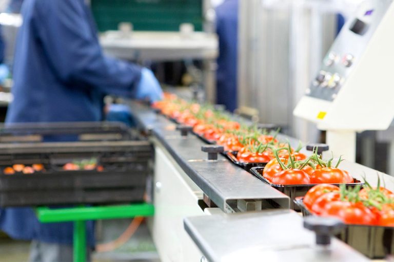Montenegro Aligns Organic Production with EU Standards