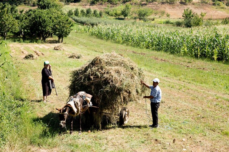 Albania’s Bold Move to Exempt Taxes for 500 Agro-Tourism Ventures