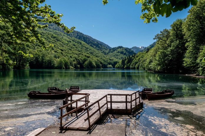 A,Scenic,View,Of,The,Biogradska,Gora,National,Park,In