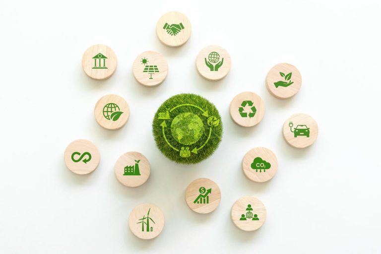 Bosnian Businesses Surge for Sustainability