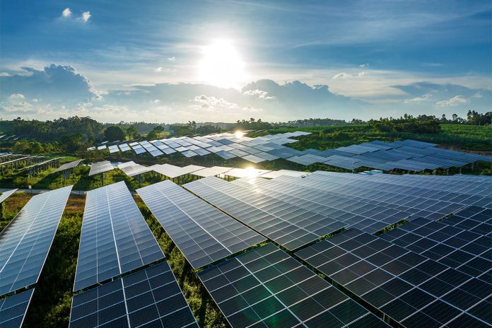 solar-panels-shutterstock_2490979099