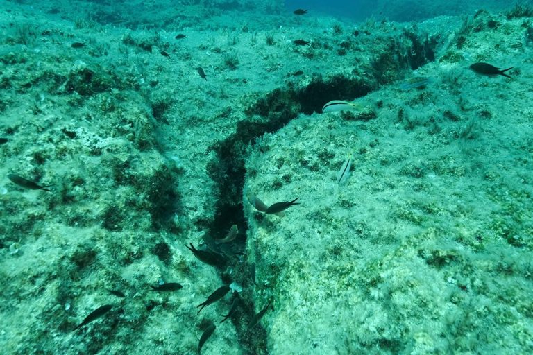 42 Earthquakes in One Day Rattle the Adriatic Sea