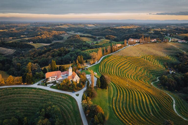 Maribor Named Europe’s Best Wine Capital