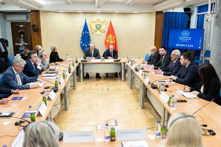 Andrija Mandić Holds Talks with European Parliament’s AFET Committee