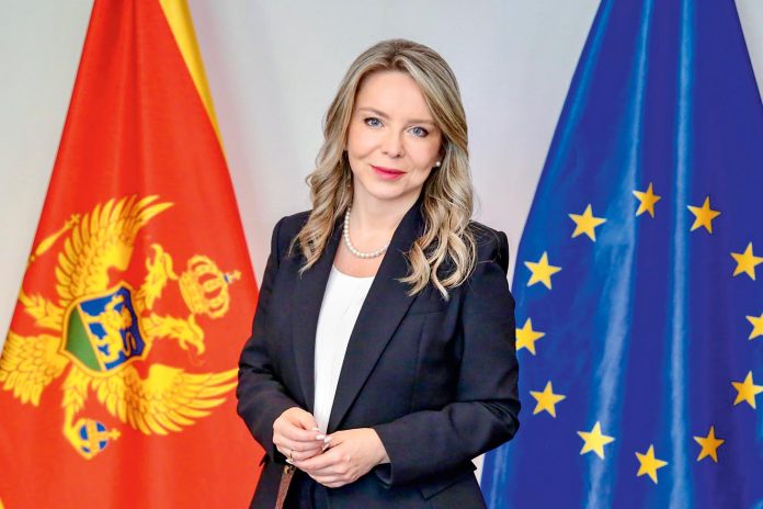 Stability in a Euroised System Stability in a Euroised System