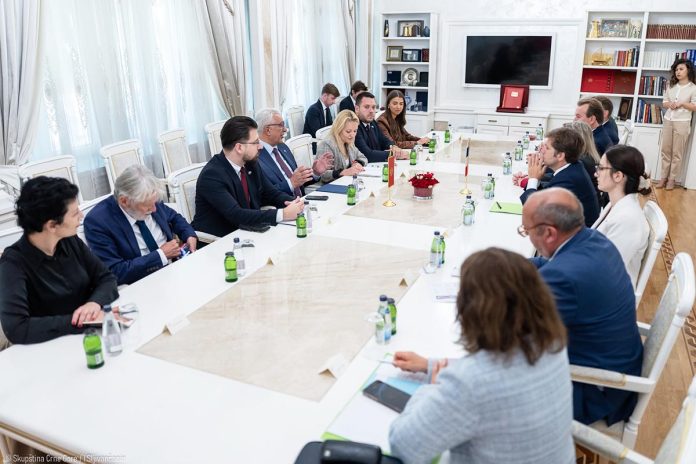 France and Montenegro Strengthen EU Dialogue