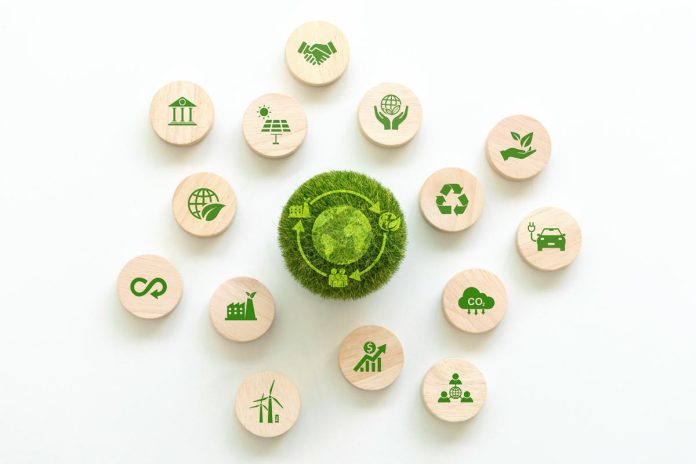 Bosnian Businesses Surge for Sustainability Bosnian Businesses Surge for Sustainability