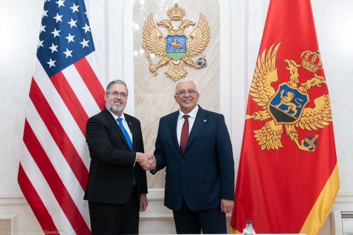 Mandić Calls for Strategic Partnership With the United States Mandić Calls for Strategic Partnership With the United States