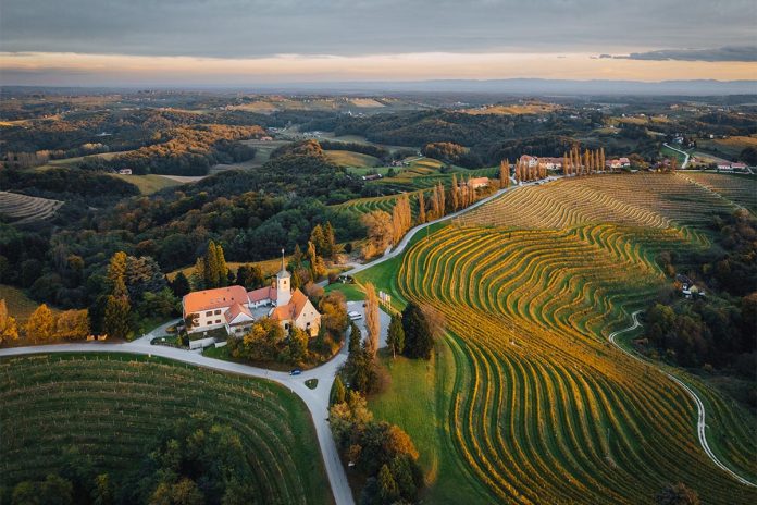 Maribor Named Europe’s Best Wine Capital Maribor Named Europe’s Best Wine Capital