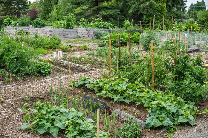 Zagreb Offers Free Garden Plots to Residents Zagreb Offers Free Garden Plots to Residents