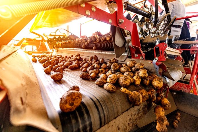 Automated agriculture industry concept
