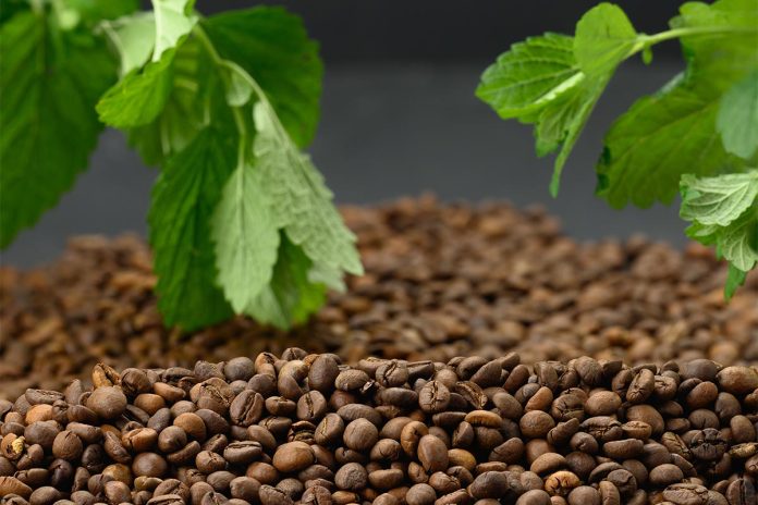 Coffee Producers Urge EU to Delay Deforestation Ban Coffee Producers Urge EU to Delay Deforestation Ban