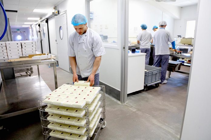 Germany Dominates EU Milk, Butter, and Cheese Production Germany Dominates EU Milk, Butter, and Cheese Production
