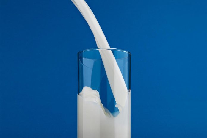 BiH to Import 250,000 Litres of Milk from Montenegro BiH to Import 250,000 Litres of Milk from Montenegro