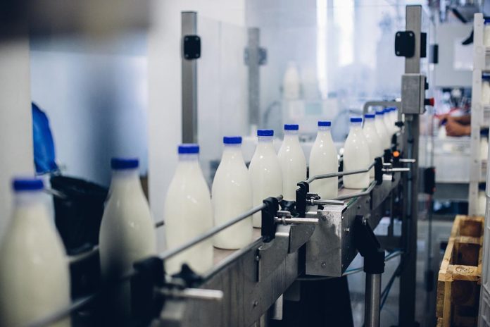 BiH Dairy Exports Experience Creamy Surge BiH Dairy Exports Experience Creamy Surge