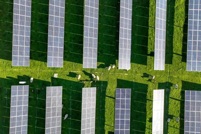 Fructal Boosts Sustainability Efforts with New Solar Power Plant in Ajdovščina Fructal Boosts Sustainability Efforts with New Solar Power Plant in Ajdovščina