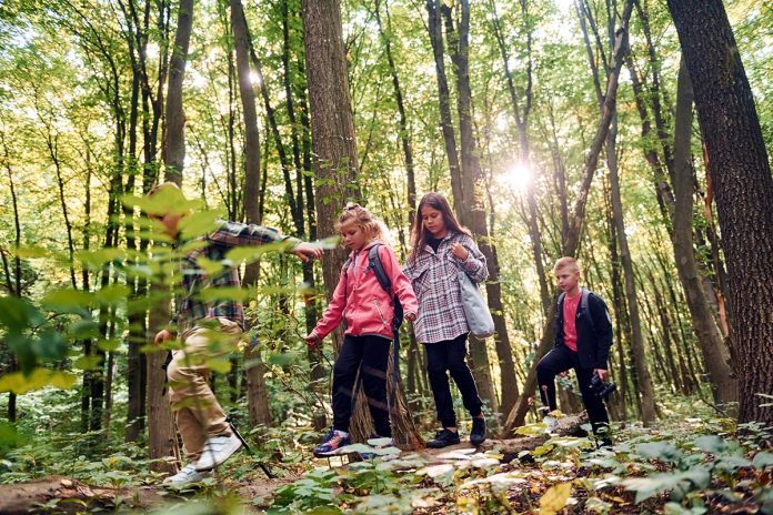 Ljubljana School Introduces Forest Therapy Into Curriculum Ljubljana School Introduces Forest Therapy Into Curriculum